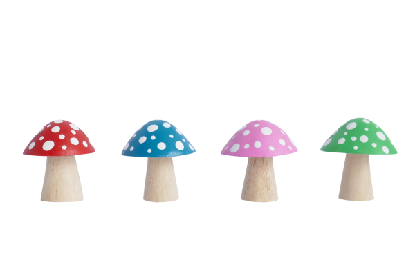Pilze in 4 Farben 